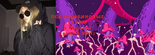 мдпв Костерёво