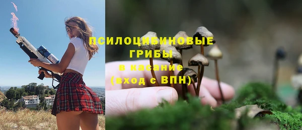 MDMA Коряжма