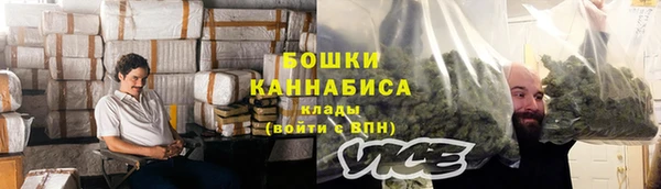 мдпв Костерёво