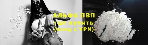 сатива Кулебаки
