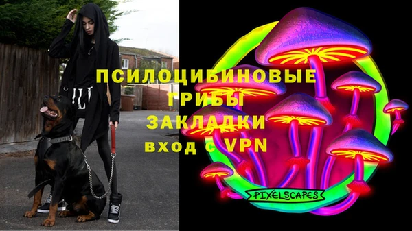 прущие грибы Видное