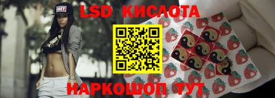 a pvp Дубна