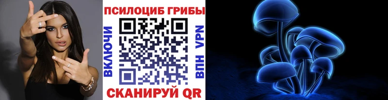 цены наркотик  мориарти как зайти  Галлюциногенные грибы GOLDEN TEACHER  Коркино 