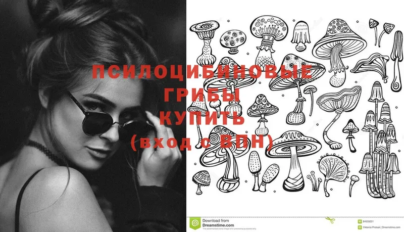 площадка Telegram  Коркино  Псилоцибиновые грибы Psilocybine cubensis 