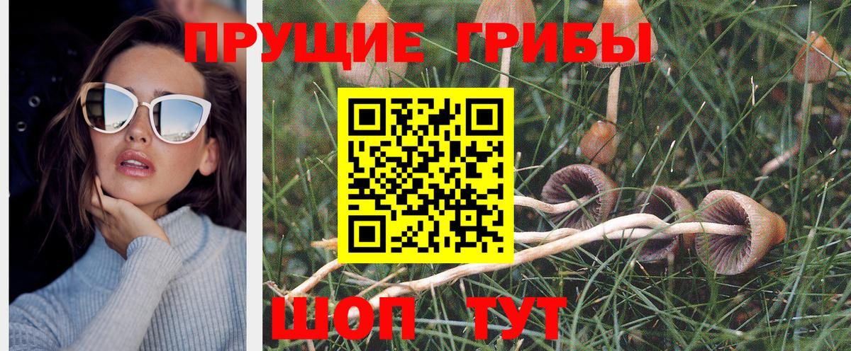 Коркино  Псилоцибиновые грибы Cubensis  Вход с VPN 