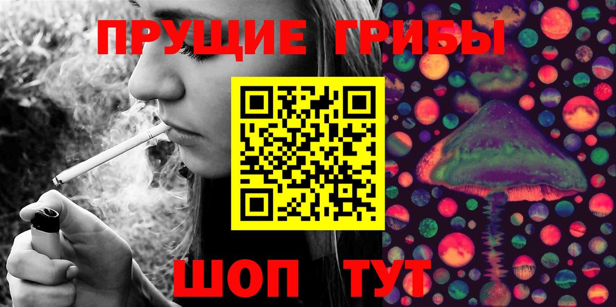 Псилоцибиновые грибы Psilocybine cubensis Коркино