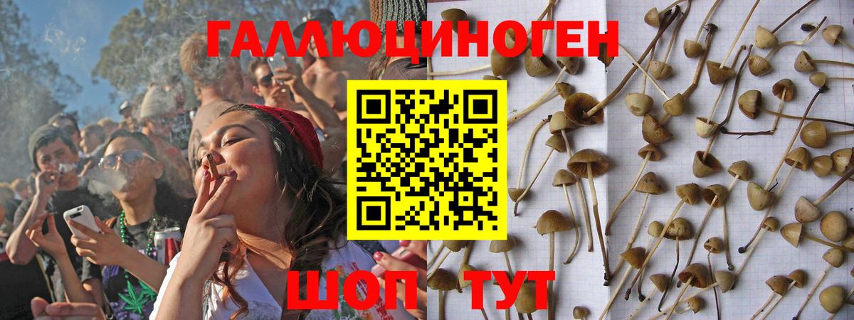 ГАШ Коркино