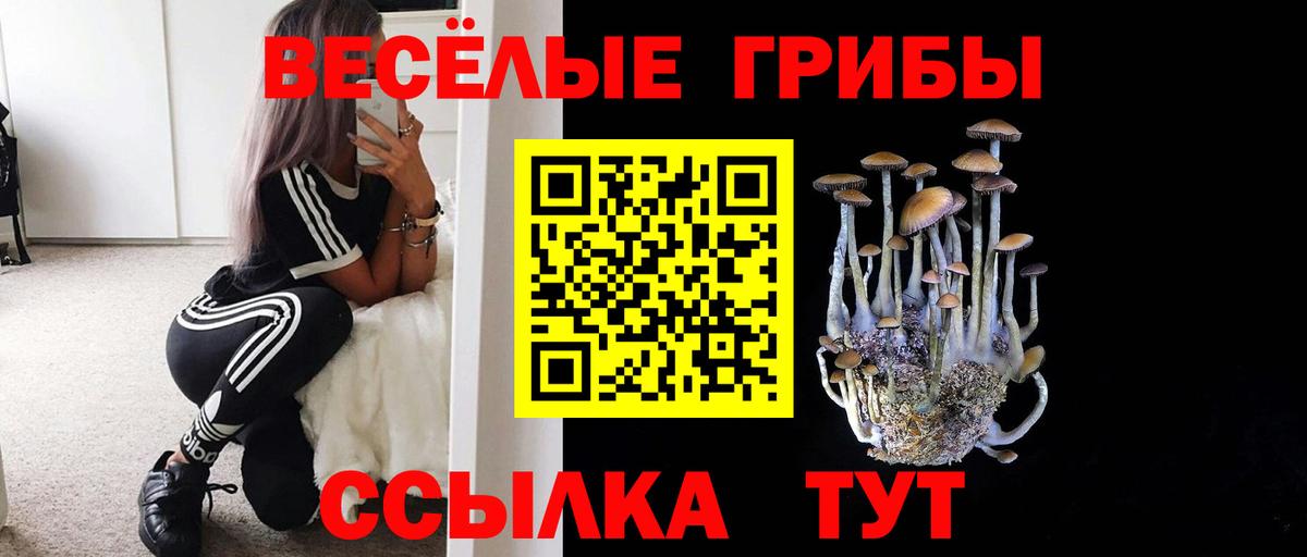 Галлюциногенные грибы GOLDEN TEACHER Коркино